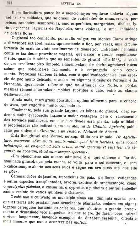 Chorografia Mineira - Dcima quarta parte